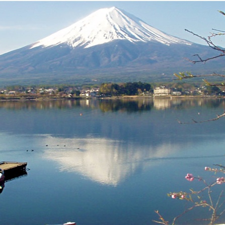 申し込みが始まりました！2025年夏！バイオリンがもっと好きになる4日間！